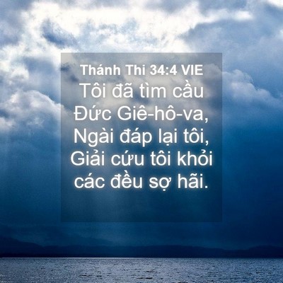 Picture 04 - Thánh Thi 34:4 VIE - Tôi đã tìm cầu Đức Giê-hô-va, Ngài - Bible Verse Picture