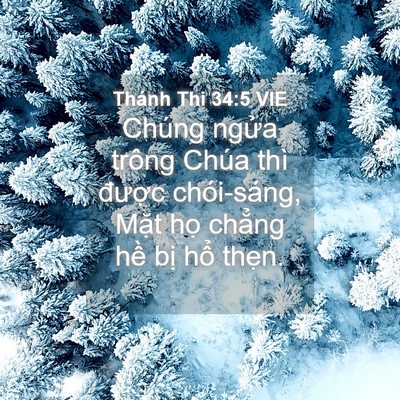 Picture 04 - Thánh Thi 34:5 VIE - Chúng ngửa trông Chúa thì được - Bible Verse Picture