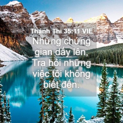 Picture 04 - Thánh Thi 35:11 VIE - Những chứng gian dấy lên, Tra hỏi - Bible Verse Picture