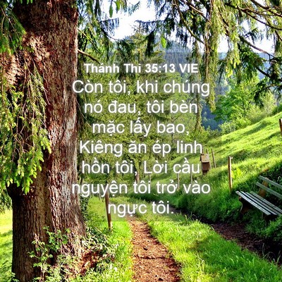 Picture 04 - Thánh Thi 35:13 VIE - Còn tôi, khi chúng nó đau, tôi bèn mặc - Bible Verse Picture