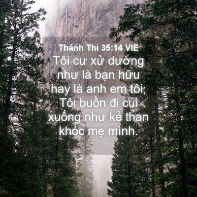 Picture 04 - Thánh Thi 35:14 VIE - Tôi cư xử dường như là bạn hữu hay - Bible Verse Picture