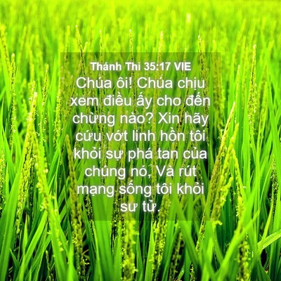 Picture 04 - Thánh Thi 35:17 VIE - Chúa ôi! Chúa chịu xem điều ấy cho - Bible Verse Picture
