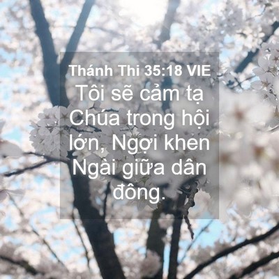 Picture 04 - Thánh Thi 35:18 VIE - Tôi sẽ cảm tạ Chúa trong hội lớn, - Bible Verse Picture
