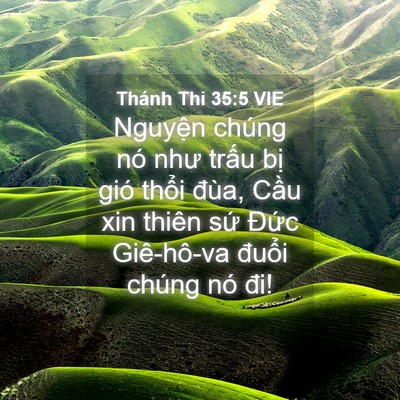 Picture 04 - Thánh Thi 35:5 VIE - Nguyện chúng nó như trấu bị gió thổi - Bible Verse Picture