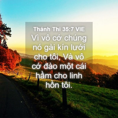 Picture 04 - Thánh Thi 35:7 VIE - Vì vô cớ chúng nó gài kín lưới cho - Bible Verse Picture