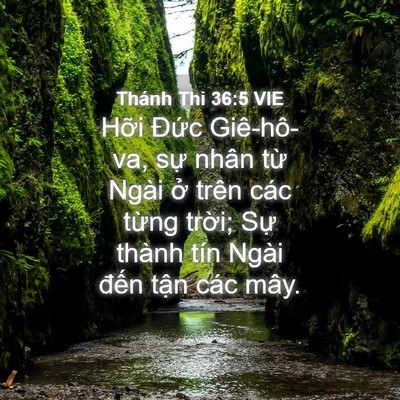 Picture 04 - Thánh Thi 36:5 VIE - Hỡi Đức Giê-hô-va, sự nhân từ Ngài - Bible Verse Picture
