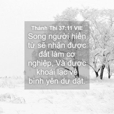 Picture 04 - Thánh Thi 37:11 VIE - Song người hiền từ sẽ nhận được - Bible Verse Picture