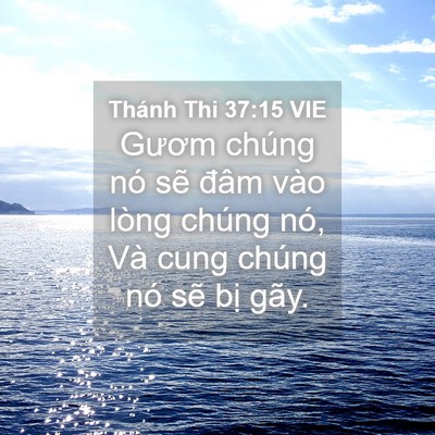 Picture 04 - Thánh Thi 37:15 VIE - Gươm chúng nó sẽ đâm vào lòng chúng - Bible Verse Picture