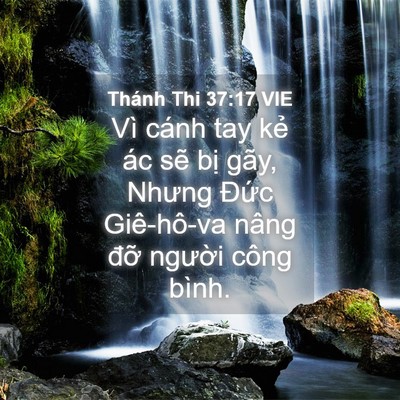 Picture 04 - Thánh Thi 37:17 VIE - Vì cánh tay kẻ ác sẽ bị gãy, Nhưng - Bible Verse Picture