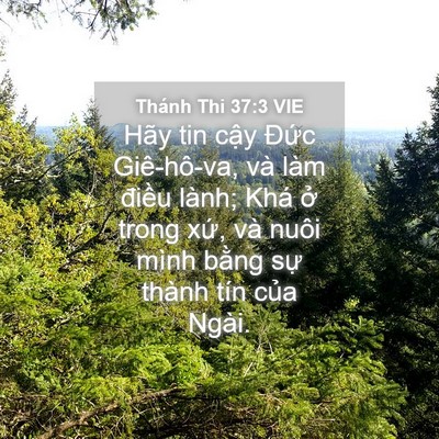 Picture 04 - Thánh Thi 37:3 VIE - Hãy tin cậy Đức Giê-hô-va, và làm - Bible Verse Picture