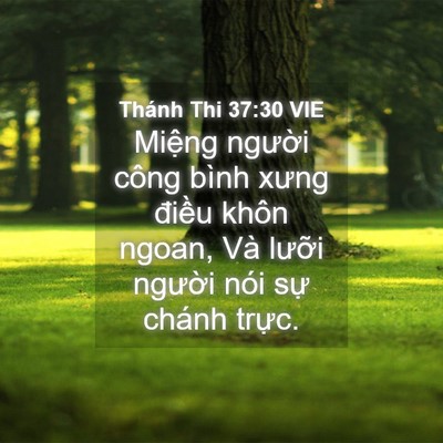 Picture 04 - Thánh Thi 37:30 VIE - Miệng người công bình xưng điều khôn - Bible Verse Picture