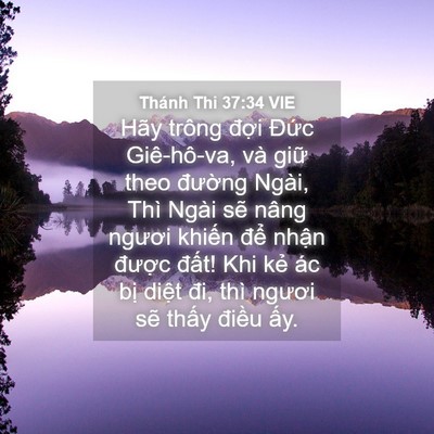 Picture 04 - Thánh Thi 37:34 VIE - Hãy trông đợi Đức Giê-hô-va, và giữ - Bible Verse Picture