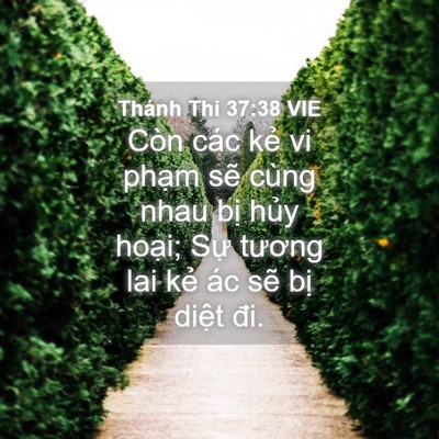 Picture 04 - Thánh Thi 37:38 VIE - Còn các kẻ vi phạm sẽ cùng nhau bị - Bible Verse Picture