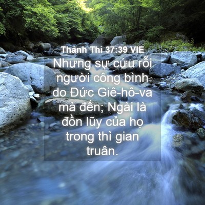 Picture 04 - Thánh Thi 37:39 VIE - Nhưng sự cứu rỗi người công bình do - Bible Verse Picture
