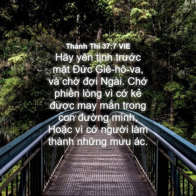Picture 04 - Thánh Thi 37:7 VIE - Hãy yên tịnh trước mặt Đức - Bible Verse Picture