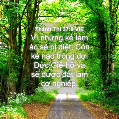 Picture 04 - Thánh Thi 37:9 VIE - Vì những kẻ làm ác sẽ bị diệt; Còn - Bible Verse Picture