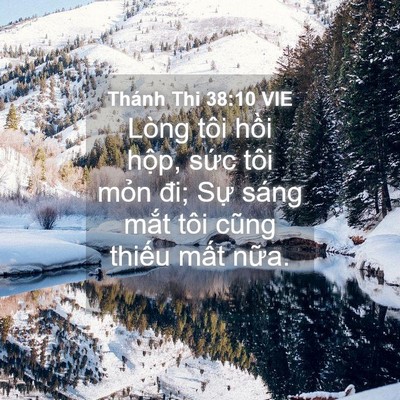 Picture 04 - Thánh Thi 38:10 VIE - Lòng tôi hồi hộp, sức tôi mỏn đi; - Bible Verse Picture