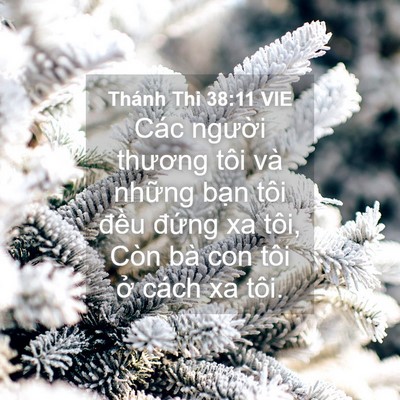 Picture 04 - Thánh Thi 38:11 VIE - Các người thương tôi và những bạn - Bible Verse Picture