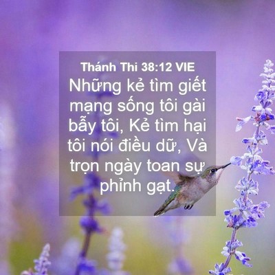 Picture 04 - Thánh Thi 38:12 VIE - Những kẻ tìm giết mạng sống tôi gài - Bible Verse Picture