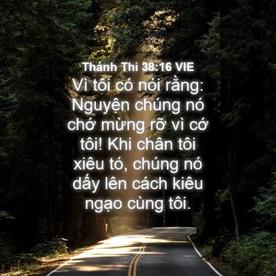 Picture 04 - Thánh Thi 38:16 VIE - Vì tôi có nói rằng: Nguyện chúng nó - Bible Verse Picture
