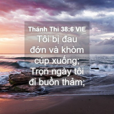 Picture 04 - Thánh Thi 38:6 VIE - Tôi bị đau đớn và khòm cúp xuống; - Bible Verse Picture