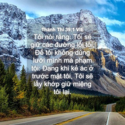 Picture 04 - Thánh Thi 39:1 VIE - Tôi nói rằng: Tôi sẽ giữ các đường - Bible Verse Picture