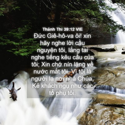 Picture 04 - Thánh Thi 39:12 VIE - Đức Giê-hô-va ôi! xin hãy nghe lời cầu - Bible Verse Picture