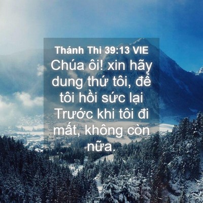 Picture 04 - Thánh Thi 39:13 VIE - Chúa ôi! xin hãy dung thứ tôi, để tôi - Bible Verse Picture
