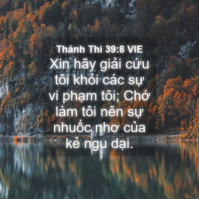 Picture 04 - Thánh Thi 39:8 VIE - Xin hãy giải cứu tôi khỏi các sự vi - Bible Verse Picture