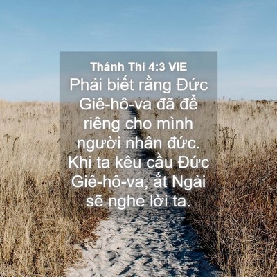 Picture 04 - Thánh Thi 4:3 VIE - Phải biết rằng Đức Giê-hô-va đã - Bible Verse Picture