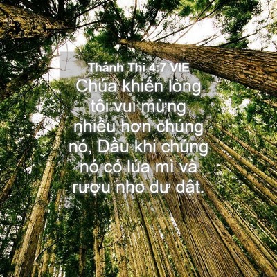 Picture 04 - Thánh Thi 4:7 VIE - Chúa khiến lòng tôi vui mừng nhiều hơn - Bible Verse Picture