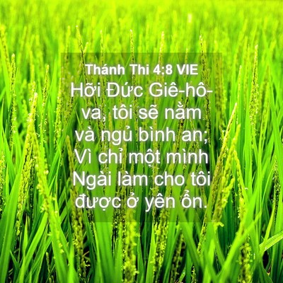 Picture 04 - Thánh Thi 4:8 VIE - Hỡi Đức Giê-hô-va, tôi sẽ nằm và - Bible Verse Picture