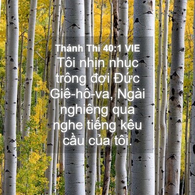 Picture 04 - Thánh Thi 40:1 VIE - Tôi nhịn nhục trông đợi Đức - Bible Verse Picture