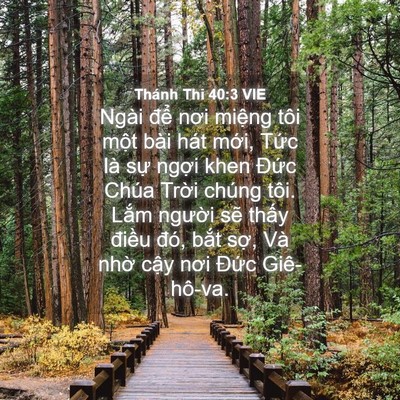 Picture 04 - Thánh Thi 40:3 VIE - Ngài để nơi miệng tôi một bài hát - Bible Verse Picture
