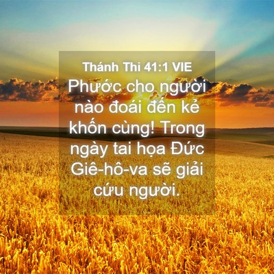 Picture 04 - Thánh Thi 41:1 VIE - Phước cho người nào đoái đến kẻ - Bible Verse Picture
