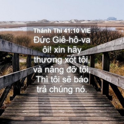 Picture 04 - Thánh Thi 41:10 VIE - Đức Giê-hô-va ôi! xin hãy thương xót - Bible Verse Picture