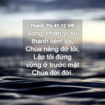 Picture 04 - Thánh Thi 41:12 VIE - Song, nhân vì sự thanh liêm tôi, Chúa - Bible Verse Picture