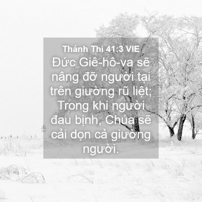 Picture 04 - Thánh Thi 41:3 VIE - Đức Giê-hô-va sẽ nâng đỡ người - Bible Verse Picture