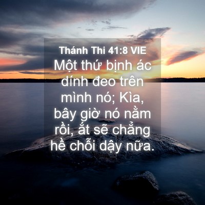 Picture 04 - Thánh Thi 41:8 VIE - Một thứ bịnh ác dính đeo trên mình - Bible Verse Picture