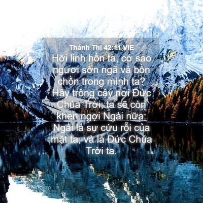 Picture 04 - Thánh Thi 42:11 VIE - Hỡi linh hồn ta, cớ sao ngươi sờn ngã - Bible Verse Picture