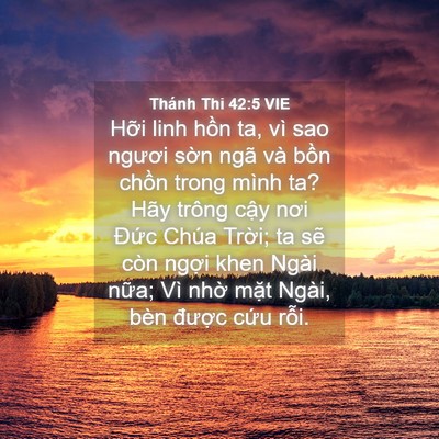 Picture 04 - Thánh Thi 42:5 VIE - Hỡi linh hồn ta, vì sao ngươi sờn ngã - Bible Verse Picture