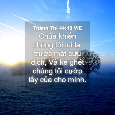 Picture 04 - Thánh Thi 44:10 VIE - Chúa khiến chúng tôi lui lại trước - Bible Verse Picture