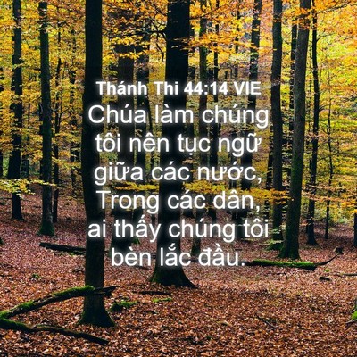 Picture 04 - Thánh Thi 44:14 VIE - Chúa làm chúng tôi nên tục ngữ giữa - Bible Verse Picture