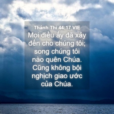 Picture 04 - Thánh Thi 44:17 VIE - Mọi điều ấy đã xảy đến cho chúng - Bible Verse Picture