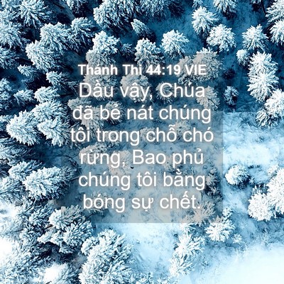 Picture 04 - Thánh Thi 44:19 VIE - Dầu vậy, Chúa đã bẻ nát chúng tôi - Bible Verse Picture