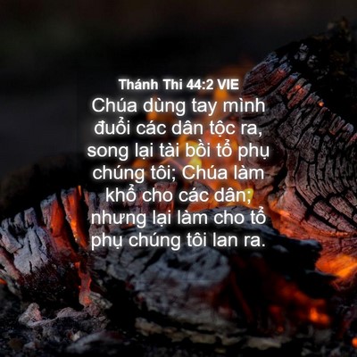 Picture 04 - Thánh Thi 44:2 VIE - Chúa dùng tay mình đuổi các dân tộc ra, - Bible Verse Picture