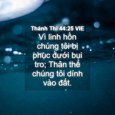 Picture 04 - Thánh Thi 44:25 VIE - Vì linh hồn chúng tôi bị phục dưới - Bible Verse Picture
