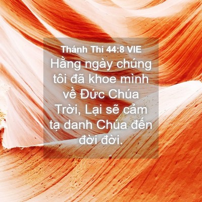Picture 04 - Thánh Thi 44:8 VIE - Hằng ngày chúng tôi đã khoe mình về - Bible Verse Picture