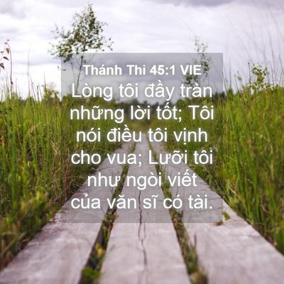 Picture 04 - Thánh Thi 45:1 VIE - Lòng tôi đầy tràn những lời tốt; Tôi - Bible Verse Picture