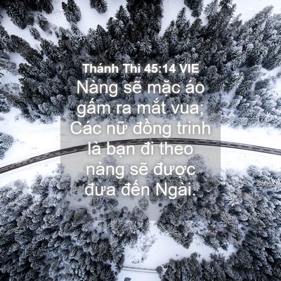 Picture 04 - Thánh Thi 45:14 VIE - Nàng sẽ mặc áo gấm ra mắt vua; Các - Bible Verse Picture